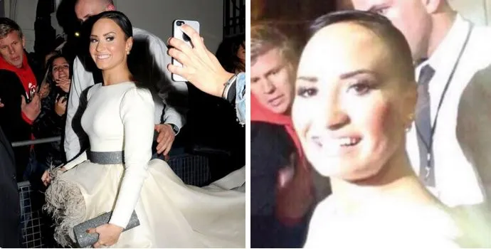 The exact moment Demi Lovato's 'twin' Poot emerged for first time on Twitter | Metro News